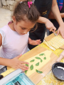 Pasta Making Class - Advanced